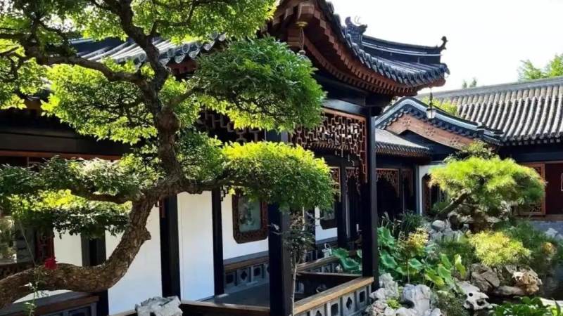 亚冠赛程怎么查怎么看？东西亚分区与赛制规则全解析